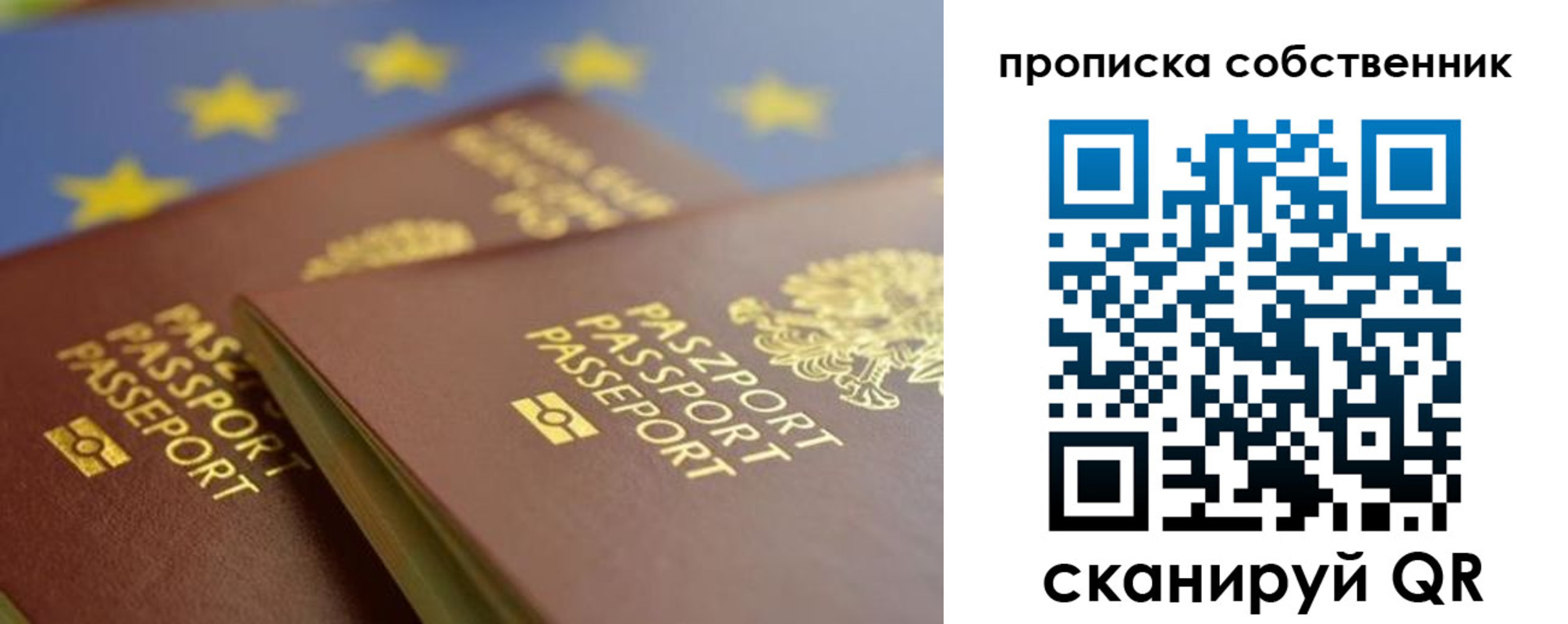 прописка для работы в Полярных Зорях